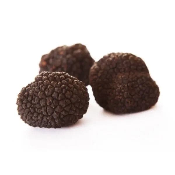 TARTUFO NERO UNCINATO FRESCO (tuber uncinatum Chatin) TifataTartufi