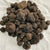 TARTUFO NERO UNCINATO FRESCO (tuber uncinatum Chatin) TifataTartufi